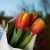 3 тюльпана красно-желтых в магазине Цветы Планеты