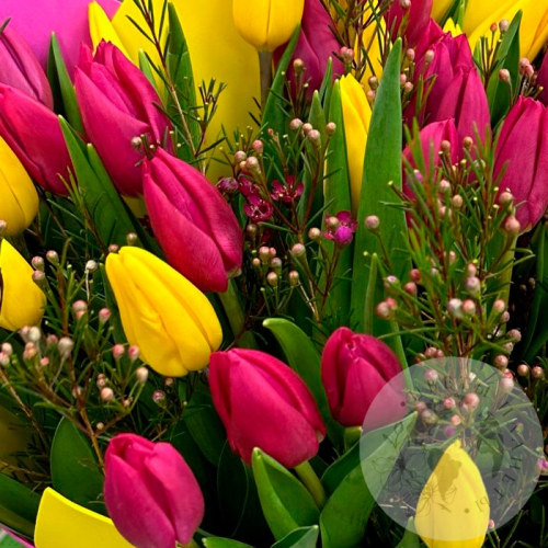 Букет 51 тюльпан в магазине Цветы Планеты