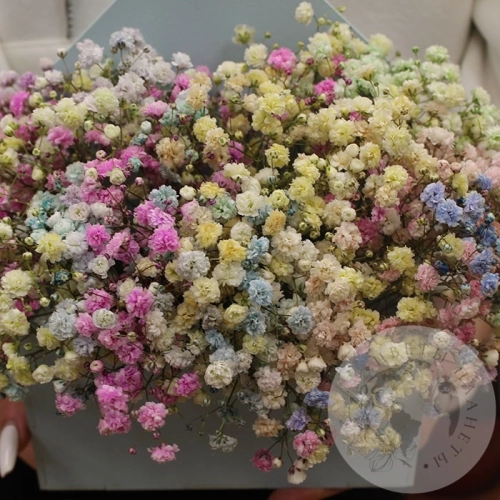 Композиция из гипсофил в деревянном ящике в магазине Цветы Планеты