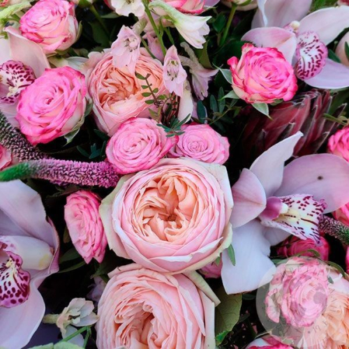 Букет из роз, орхидей, вероники и фисташки в магазине Цветы Планеты