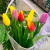 Букет 7 тюльпанов в магазине Цветы Планеты Букет 7 тюльпанов в магазине Цветы Планеты