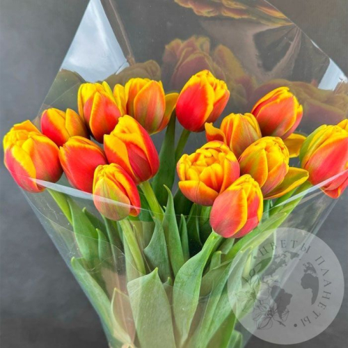 11 красно-желтых пионовидных тюльпанов в магазине Цветы Планеты