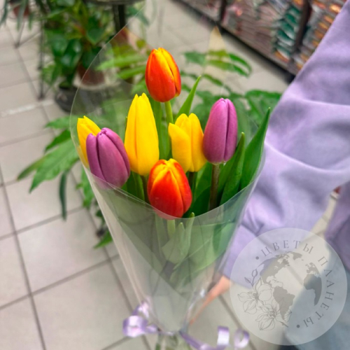 Букет из 7 тюльпанов в магазине Цветы Планеты