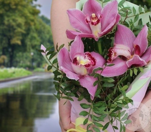 Букет из орхидей "Для тебя" в магазине Цветы Планеты