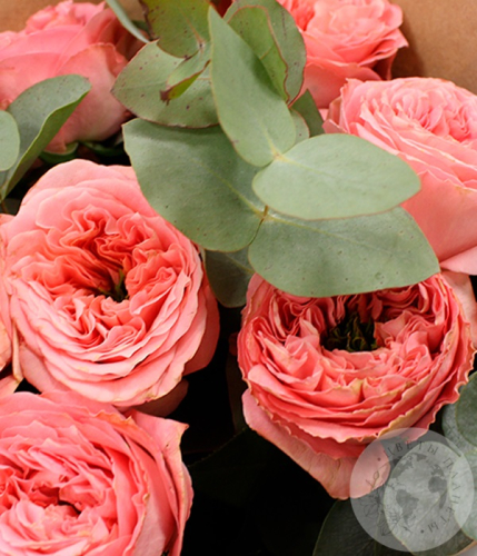 Букет из 7 роз и эвкалипта в магазине Цветы Планеты