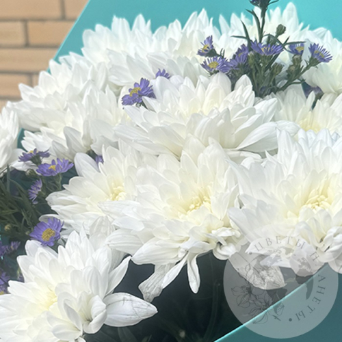 Букет из белых кустовых хризантем и астера в магазине Цветы Планеты