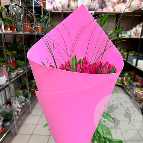 Букет 25 тюльпанов и берграсса в магазине Цветы Планеты