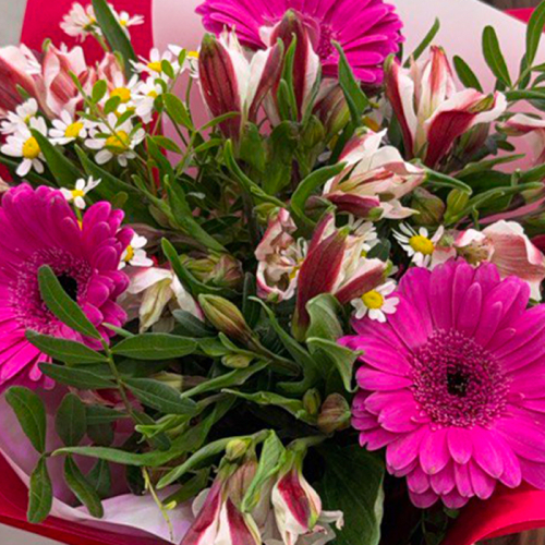 Букет с герберами и ирисом в магазине Цветы Планеты