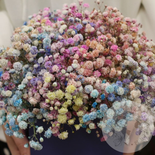 Композиция из крашенных гипсофил в ящике в магазине Цветы Планеты
