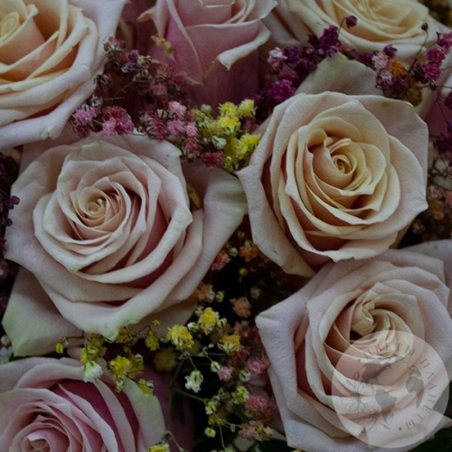 Композиция из роз, гипсофила и фисташки в коробке в магазине Цветы Планеты