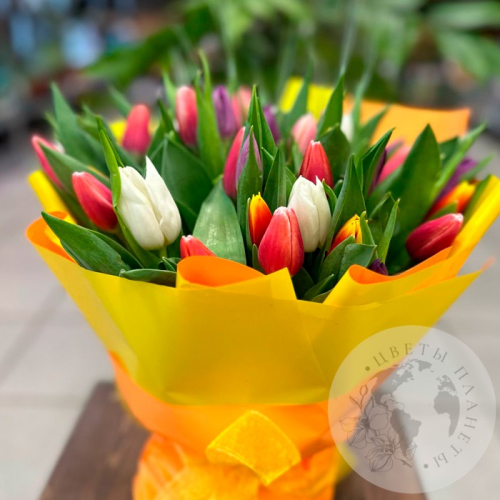 Букет 51 тюльпан микс в магазине Цветы Планеты