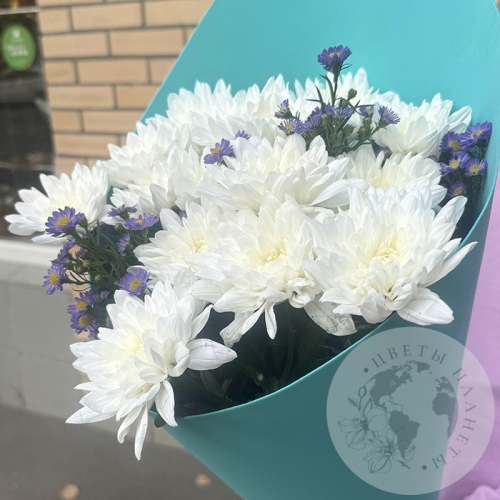 Букет из белых кустовых хризантем и астера в магазине Цветы Планеты