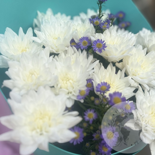 Букет из белых кустовых хризантем и астера в магазине Цветы Планеты