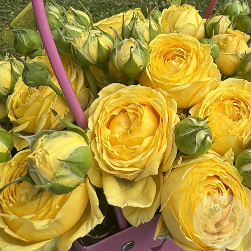 Композиция из роз в коробке в магазине Цветы Планеты