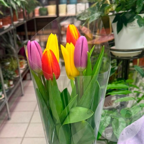 Букет из 7 тюльпанов в магазине Цветы Планеты