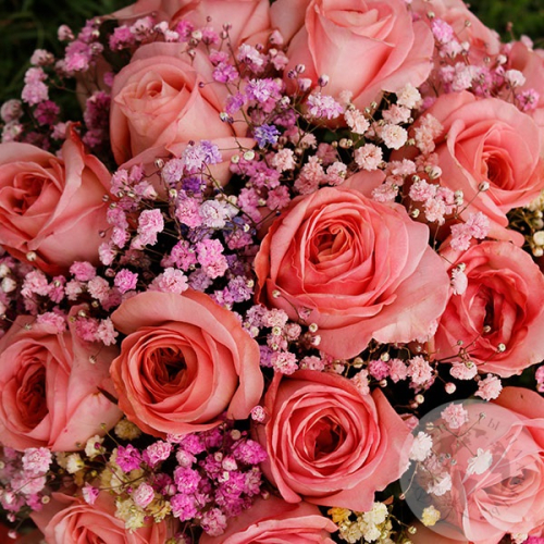 Композиция роз и гипсофил в коробке в магазине Цветы Планеты