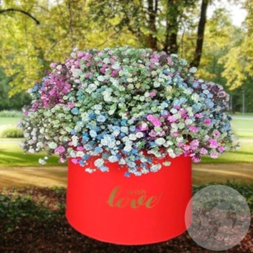 Композиция из гипсофил в коробке в магазине Цветы Планеты