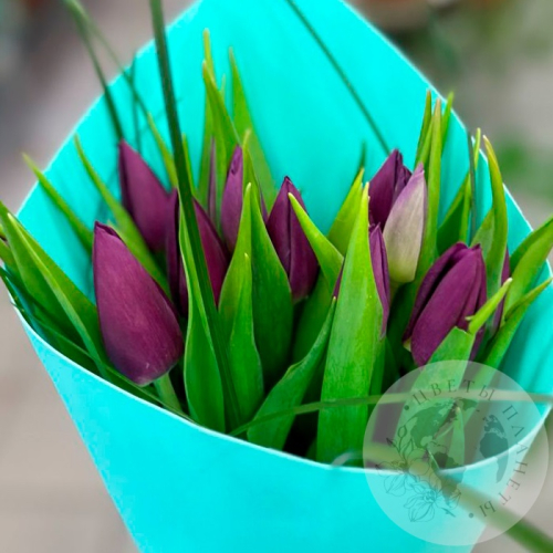 Букет из 15 тюльпанов фиолетовых в магазине Цветы Планеты