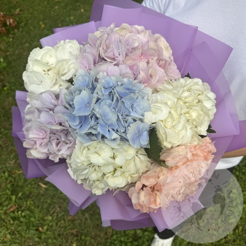Букет из 7 гортензий в магазине Цветы Планеты