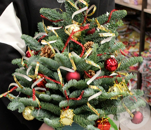 Композиция на Новый год в горшке в магазине Цветы Планеты