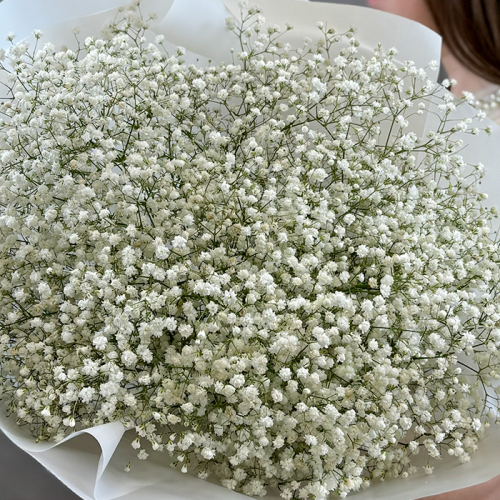 Букет из гипсофилы в магазине Цветы Планеты