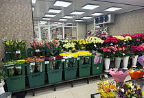 г. Москва, Дмитровское шоссе, д. 98 с