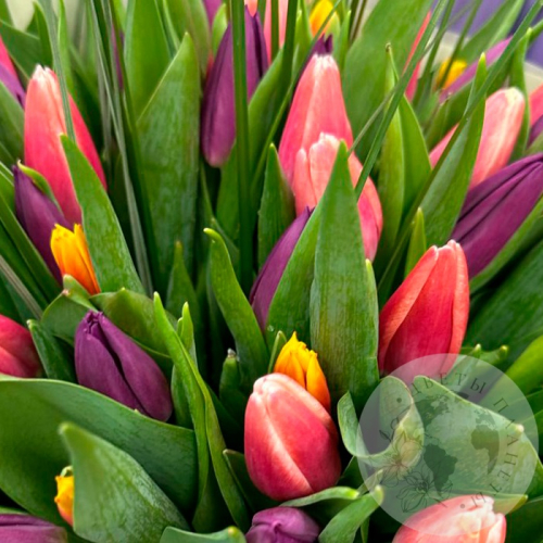 Букет из 59 тюльпанов в магазине Цветы Планеты