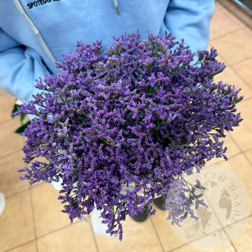 Композиция из лимониума в коробке в магазине Цветы Планеты