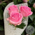 3 розы розовых 50 см. 3 розы розовых 50 см. в магазине Цветы Планеты