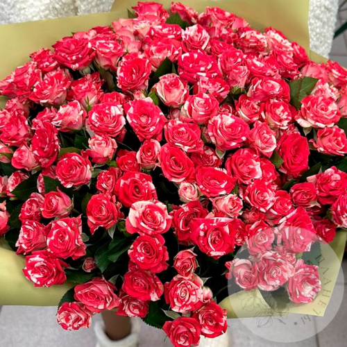 Букет из 51 кустовой розы в магазине Цветы Планеты