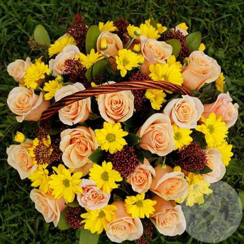 Композиция из 25 роз и фисташки в корзине в магазине Цветы Планеты