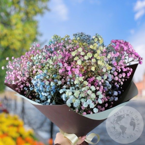 Букет из 9 гипсофил в магазине Цветы Планеты