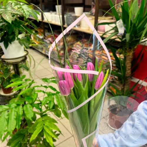 Букет из 7 тюльпанов фиолетовых в магазине Цветы Планеты