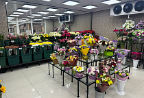 г. Москва, Дмитровское шоссе, д. 98 с