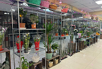 г. Москва, Дмитровское шоссе, д. 98 с