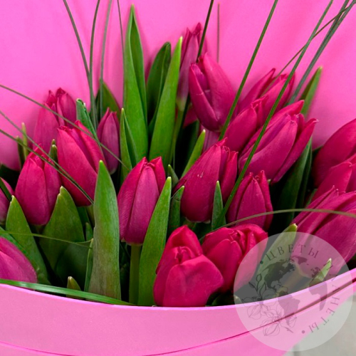 Букет 25 тюльпанов и берграсса в магазине Цветы Планеты