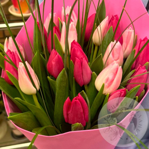 Букет из 23 тюльпанов в магазине Цветы Планеты