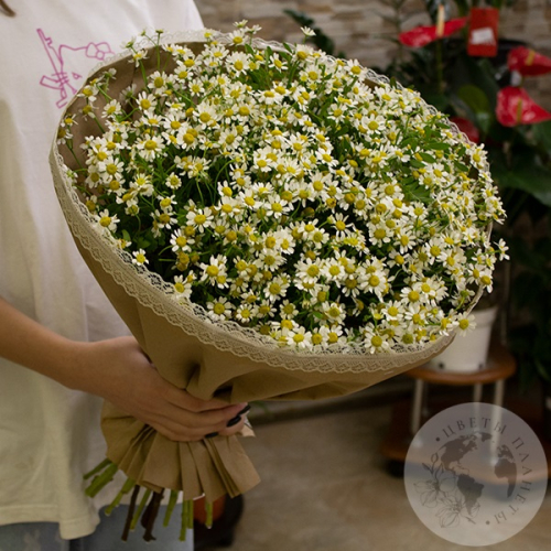 Букет ромашек в магазине Цветы Планеты
