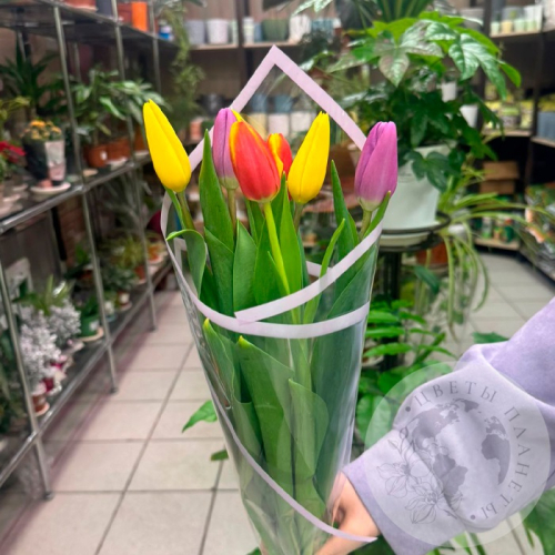 Букет 7 тюльпанов в магазине Цветы Планеты