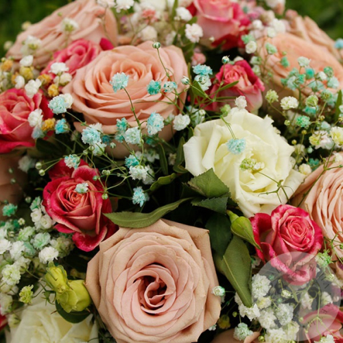 Композиция из роз и фисташки в коробке в магазине Цветы Планеты