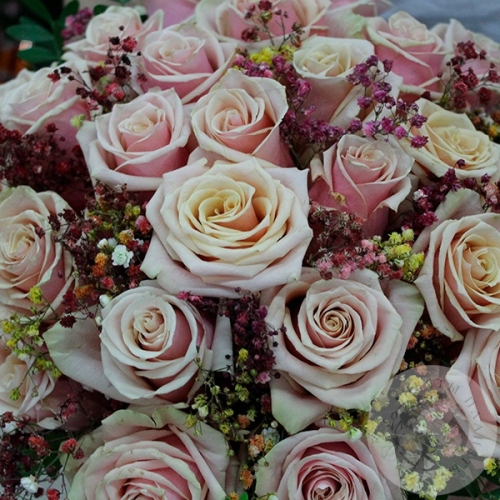 Композиция из роз, гипсофила и фисташки в коробке в магазине Цветы Планеты