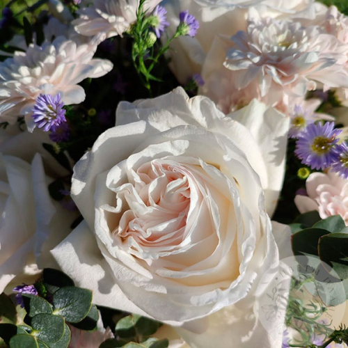 Композиция из роз в коробке "Бриз" в магазине Цветы Планеты