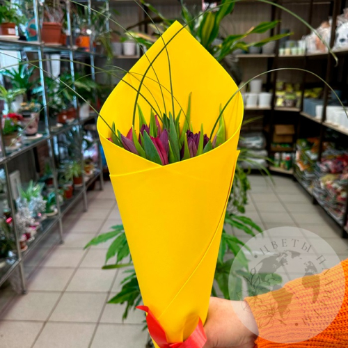 Букет из 15 тюльпанов фиолетовых и темно-малиновых в магазине Цветы Планеты