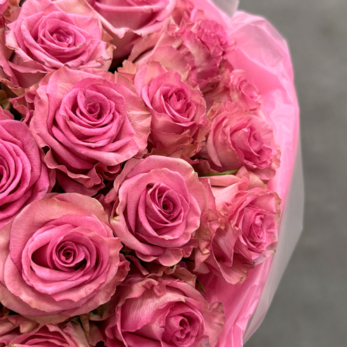 Букет розовых роз Эквадор 25 шт. 60 см. в магазине Цветы Планеты