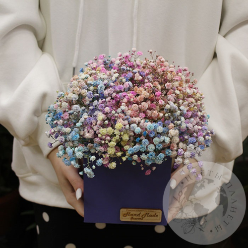 Композиция из крашенных гипсофил в ящике в магазине Цветы Планеты