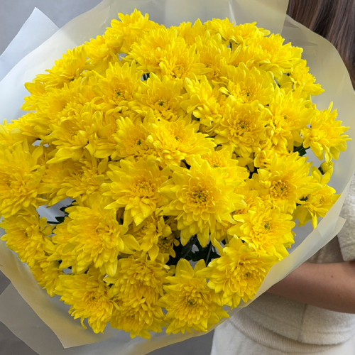 Букет из желтой кустовой хризантемы в магазине Цветы Планеты
