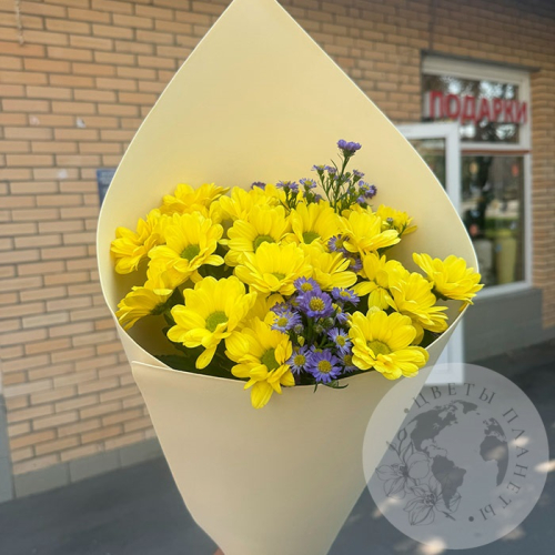 Букет из хризантем кустовых и астера в магазине Цветы Планеты