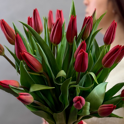 Букет из 25 красных тюльпанов в магазине Цветы Планеты