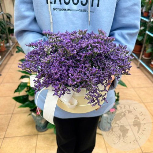 Композиция из лимониума в коробке в магазине Цветы Планеты