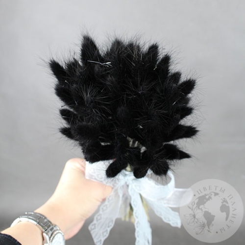 Лагурус сухоцвет черно-зеленый в магазине Цветы Планеты